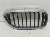 Front grill