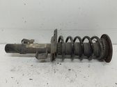 Front shock absorber with coil spring
