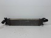 Intercooler radiator