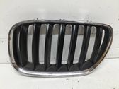 Front bumper upper radiator grill