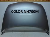 Engine bonnet/hood