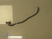 Battery relay fuse