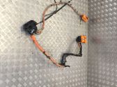 Positive wiring loom