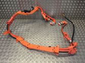 Positive wiring loom