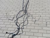 Kühlleitung / Kühlschlauch