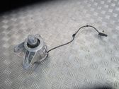 Support, suspension du moteur