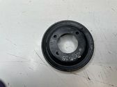 Polea de la bomba de agua