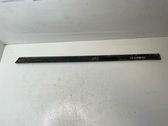 Rear door trim (molding)