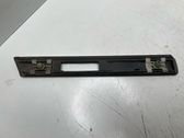 Fender trim (molding)