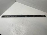 Rear door trim (molding)