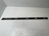 Rear door trim (molding)