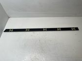 Rear door trim (molding)