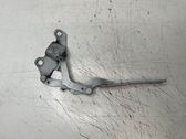 Bisagras del capó/tapa del motor