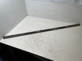 Listón embellecedor de la puerta delantera (moldura)