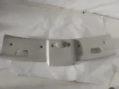 Trim molding