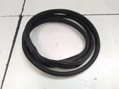 Rubber seal front door (on door)