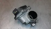 Throttle body valve