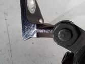 Juego de bisagras de puerta delantera