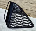 Front fog light trim/grill