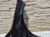 Guardabarro