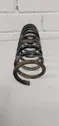 Rear coil spring