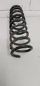 Rear coil spring