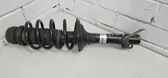 Front shock absorber with coil spring