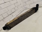Radiador intercooler