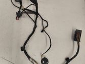 Front door wiring loom