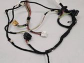 Front door wiring loom