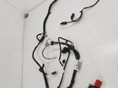 Other wiring loom