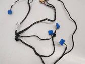 Other wiring loom