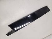 Rear door glass trim molding