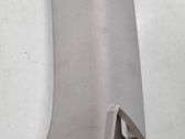 (C) pillar trim