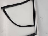 Rear door glass trim molding