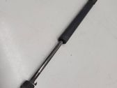 Tailgate/trunk strut/damper