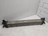 Intercooler radiator