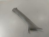 (A) pillar trim