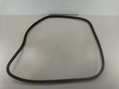 Front door rubber seal