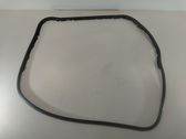 Rubber seal front door (on door)