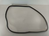 Front door rubber seal