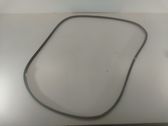 Rubber seal front door (on door)