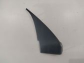 Other front door trim element