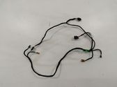 Rear door wiring loom