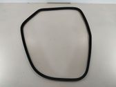 Rear door rubber seal (on body)