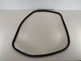 Front door rubber seal