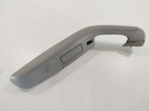Rear door handle trim