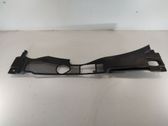 Wiper trim