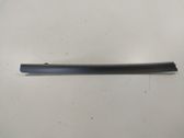 Front door trim bar