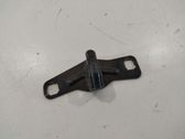 Loading door lock loop/hook striker
